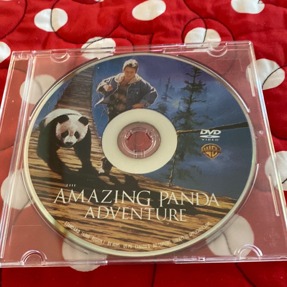 🐼Gently used DVD, Amazing Panda Adventure, no original case 🐼
